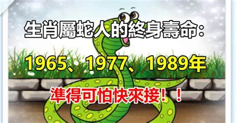 1989年屬|【1989 屬】1989屬蛇終極指南：壽命揭秘、最佳配對、轉運秘訣。